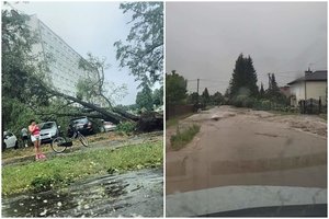 Dalį Lenkijos vėl niokojo audra: kruša talžė langus, vėjas laužė medžius, gyventojai sako tokios stichijos dar nematę