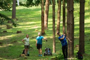 Molėtuose – kol kas neįprastas antrasis Lietuvos diskgolfo komandinis čempionatas