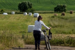 K. Navickas: džiugina šiemet bent dvigubai išaugęs ekologinių ūkių deklaruojamų pasėlių plotas