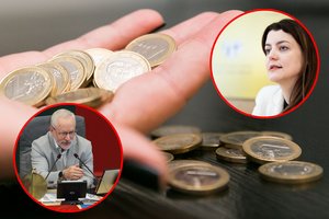 Užstojo M.Navickienę: „Negi ministrė turi atsakyti už kiekvieną vyro verslo veiksmą?“