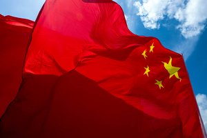 Kinijoje sulaikytas vyras, kelnėse gabenęs 100 gyvų gyvačių kontrabandą