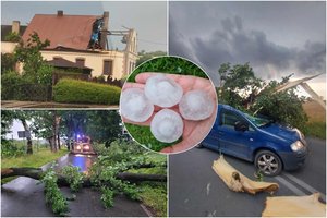 Lenkiją vėl talžė negailestinga gamtos stichija: žaibas trenkė į ugniagesį, vienas po kito virto medžiai