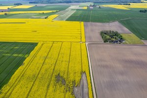 Ruošiamasi keisti valstybinės žemės naudojimo tvarką: tokių pokyčių laukta jau seniai