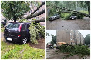 Lietuvą talžiusi audra neaplenkė ir Kėdainių: medžiai virto ir ant automobilių, ir ant pastatų