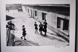 Lietuvių kalbos mokytoja: „Fotografo dviratis, kaip M.Prousto pyragaitis, nubudina praeities vizijas“