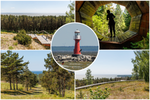 Kerintis Neringos kraštovaizdis: atskleidė mažai kam žinomas lankytinas vietas