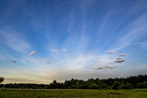 Sumanymų netrūksta – kaimui reikia ir skaitmeninių technologijų, ir išmanių sprendimų