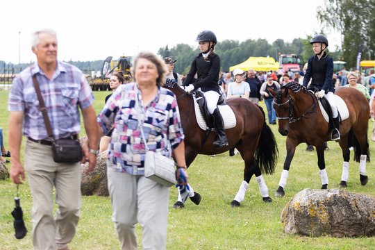  Naisių vasaros festivalis<br>D. Labučio (ELTA) nuotr.