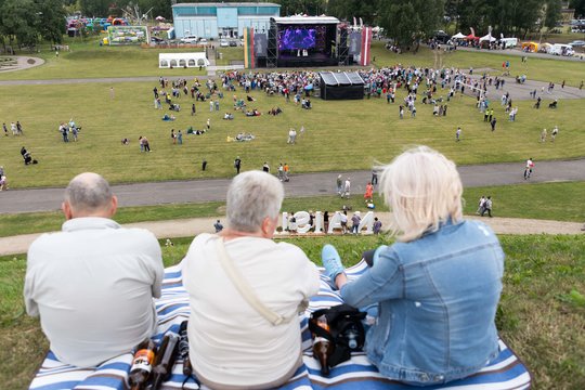  Naisių vasaros festivalis<br>D. Labučio (ELTA) nuotr.