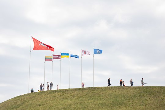  Naisių vasaros festivalis<br>D. Labučio (ELTA) nuotr.