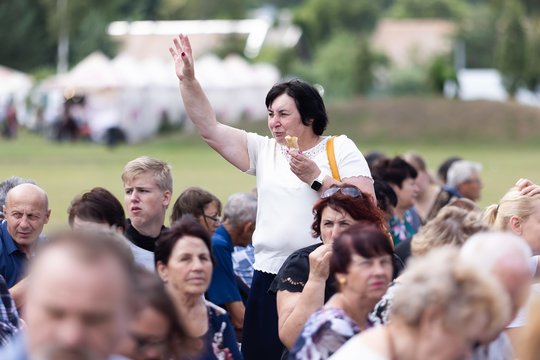  Naisių vasaros festivalis<br>D. Labučio (ELTA) nuotr.