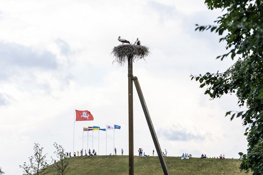  Naisių vasaros festivalis<br>D. Labučio (ELTA) nuotr.