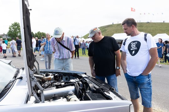  Naisių vasaros festivalis<br>D. Labučio (ELTA) nuotr.