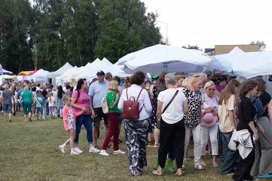  Naisių vasaros festivalis<br>D. Labučio (ELTA) nuotr.