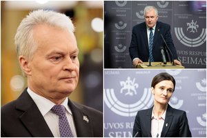 Lietuvos politikai sureagavo į išpuolį prieš D. Trumpą: užsienio politikos formuotojai turi ruoštis