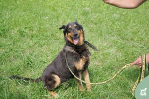 Apsikabinti ir prisiglausti mėgstantis senjoras stebina savo stiprybe ir noru žaisti