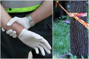 Miškelyje šalia degalinės ir daugiabučių Vilniuje aptikti vyro palaikai – kūnas smarkiai suiręs