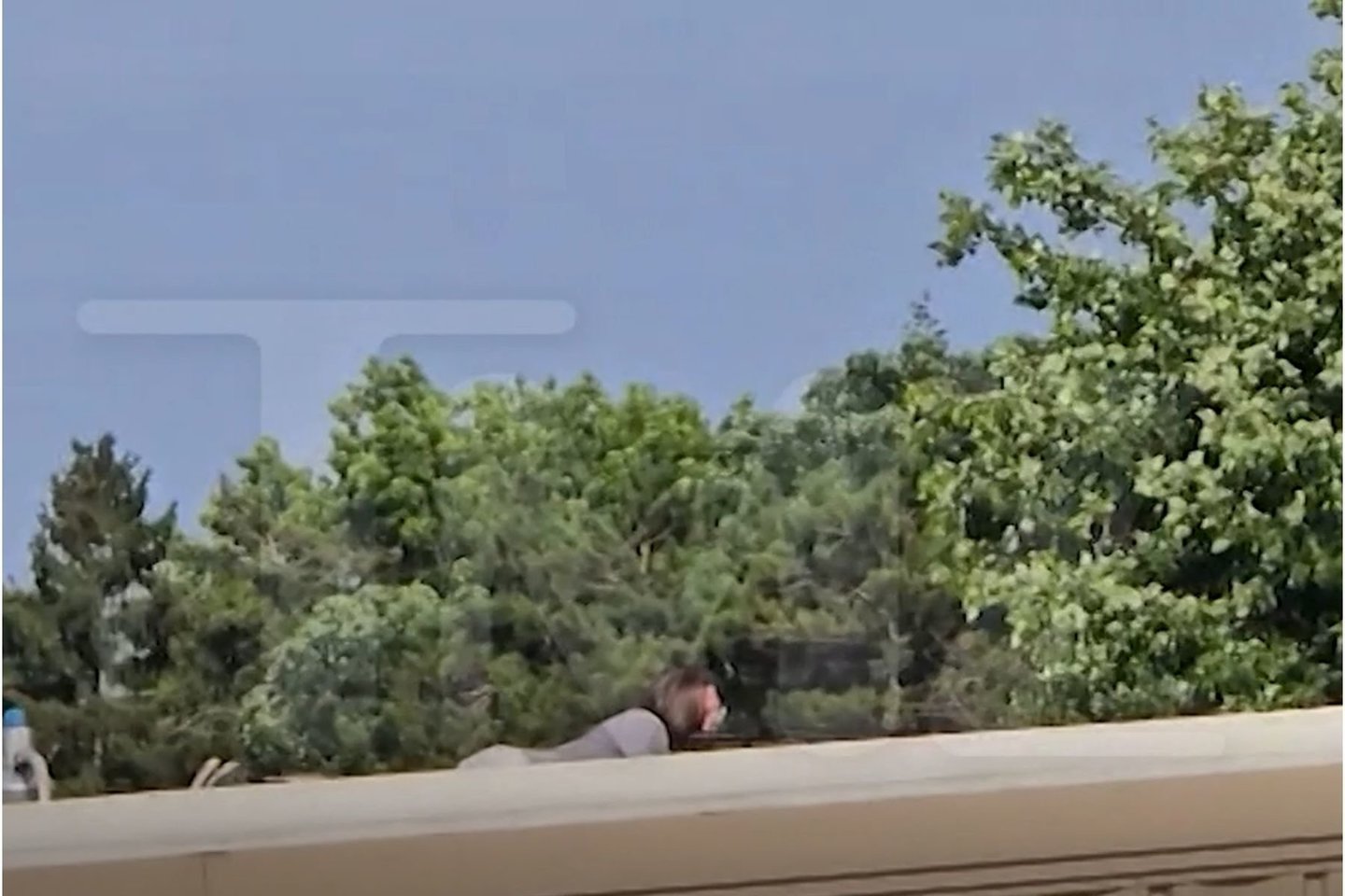 Užfiksuotas D. Trumpo<br>Stop kadras.