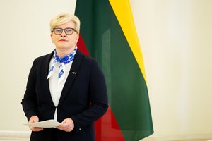 I. Šimonytė ambasadorių suvažiavime: pasaulio tvarka neturi remtis kumščio „teise“