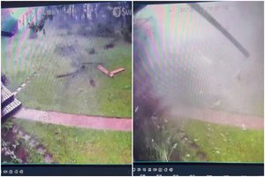 Vaizdo stebėjimo kameros užfiksavo siautusį viesulą: medžius laužė lyg degtukus