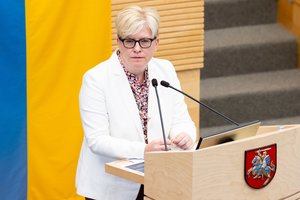 I. Šimonytė tikrinasi pasitikėjimą Seime: po G. Nausėdos žodžių – audringos reakcijos