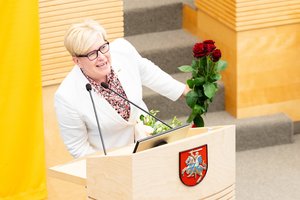 Šimonytė tests her credibility in the Seimas: stormy reactions after Nausėda's words