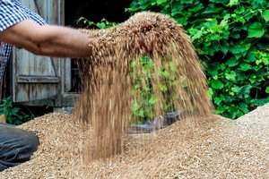 Sulaukėte tokio skambučio? Jokiu būdu neatsakykite į užduotą klausimą – tarnyba to niekada neklaustų