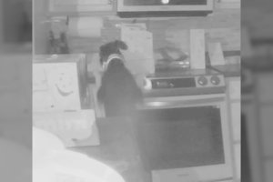 Šeima šokiruota: užfiksavo, kaip šuo įjungė dujinę viryklę ir padegė namą