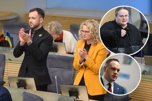 Komiteto posėdyje – vėl aistros dėl Civilinės sąjungos: A. Širinskienė prakalbo apie „politinį turgelį“ ir sulaukė kirčio atgal