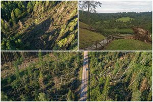 Miškuose – siaubingi audros padariniai: išguldyta visa eilė medžių