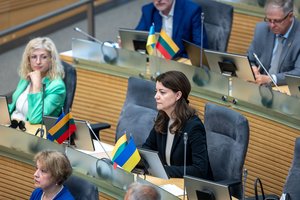 Iš ministrės posto atsistatydinusi M. Navickienė apsisprendė dėl Seimo rinkimų