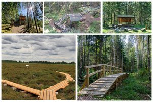 Suvalkijos miškų lobiai: kokius objektus verta aplankyti ir pamatyti?