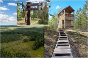 Pavargusiems nuo miesto – maršrutas aplink didžiausią Lietuvoje kaimą