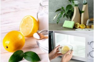 Citrina – virtuvėje ir sode: kai kurie negirdėti, bet ypač efektyvūs jos naudojimo būdai 