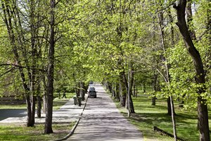 Lietuvos mokslininkė: kovojant su karščiu miestuose laikas kurti „vėsos salas“ ir sodinti daugiau augalų