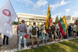 Prie Seimo – piketas dėl LGGRTC reformos: teigiama, kad pertvarka nukreipta į Lietuvos istorijos perrašymą