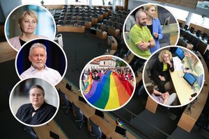 Sumaištis dėl partnerystės Seime įskėlė naujų žiežirbų: kol vieni ieško kaltųjų, kiti kalba apie „politinį alzheimeritą“