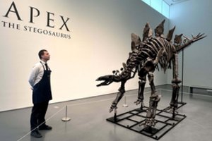 Aukcione JAV už beveik 45 mln. dolerių parduotas dinozauro skeletas