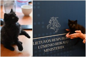 Žaibiška karjera: Užsienio reikalų ministerijos kieme rastam mažyliui – svarbios pareigos