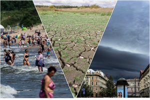 30 laipsnių karštis – nauja norma? Specialistas atsakė, kas dar dėl klimato kaitos gresia Lietuvai