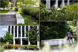 Slapta gamtos oazė Vilniuje, kurios lankymas – nemokamas, o vaizdai kerintys