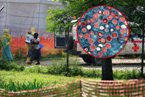 Įspėja dėl naujo mirtinos epidemijos protrūkio: užsikrėtusiųjų jau – tūkstančiai, o mirusių – šimtai