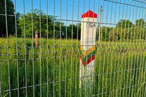 Lietuvos ir Baltarusijos pasienyje – vėl didelis būrys neteisėtų migrantų