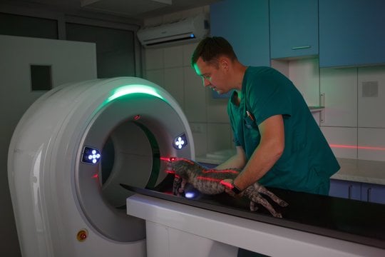 Lietuvoje pradėjo veikti pirmasis specializuotas, vienas moderniausių pasaulyje kompiuterinių tomografų centrų gyvūnams.