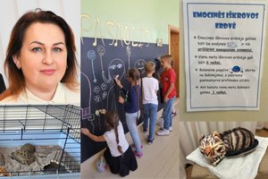 Įtraukiojo ugdymo principus prisijaukinusios mokyklos vadovė įsitikinusi: į mokyklą ateina ne problema ar sutrikimas, o žmogus