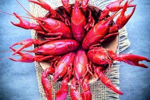 Senovinis molėtiškių vėžių sriubos receptas tiktų prabangiausiems restoranams: juo pasidalijo signataro dukra