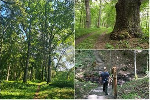 Tik šiemet įrengta pažintinė trasa jau žavi turistus: papasakojo, kuo ji ypatinga