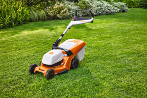 Tai – pati tikriausia sodininko svajonė: pataria, kaip turėti vešlią ir žalią veją