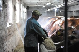 Pieno supirkimo kaina per mėnesį krito