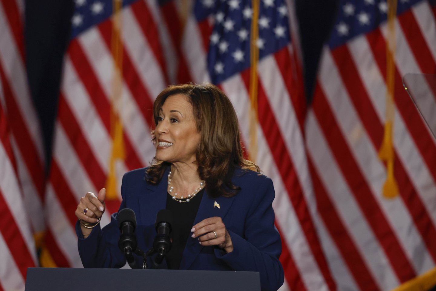 K. Harris.<br>EPA-ELTA nuotr.